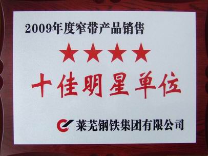 2009年度十佳明星單位